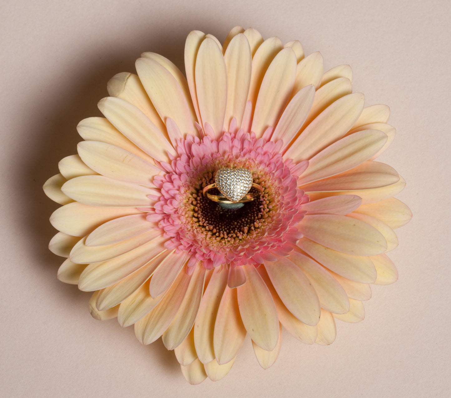 Anello cuore su fiore rosa
