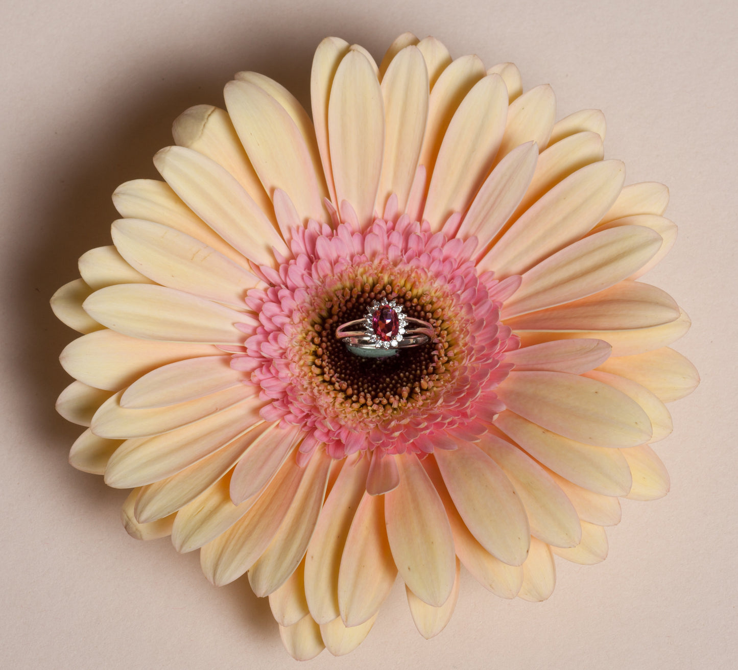 Anello si fiore rosa