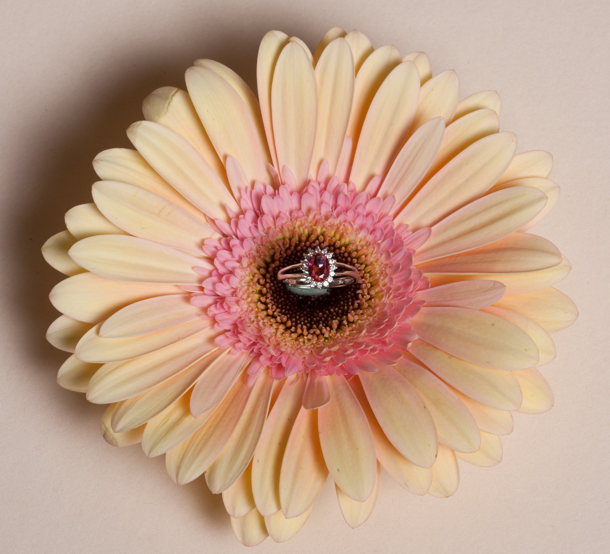 Anello si fiore rosa